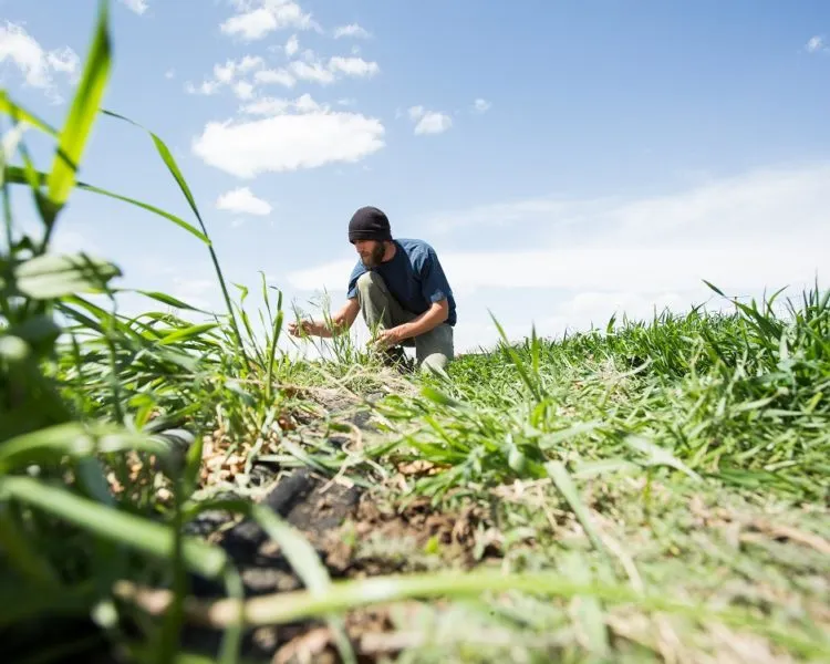 Rachel's Lens // Farm Trip!