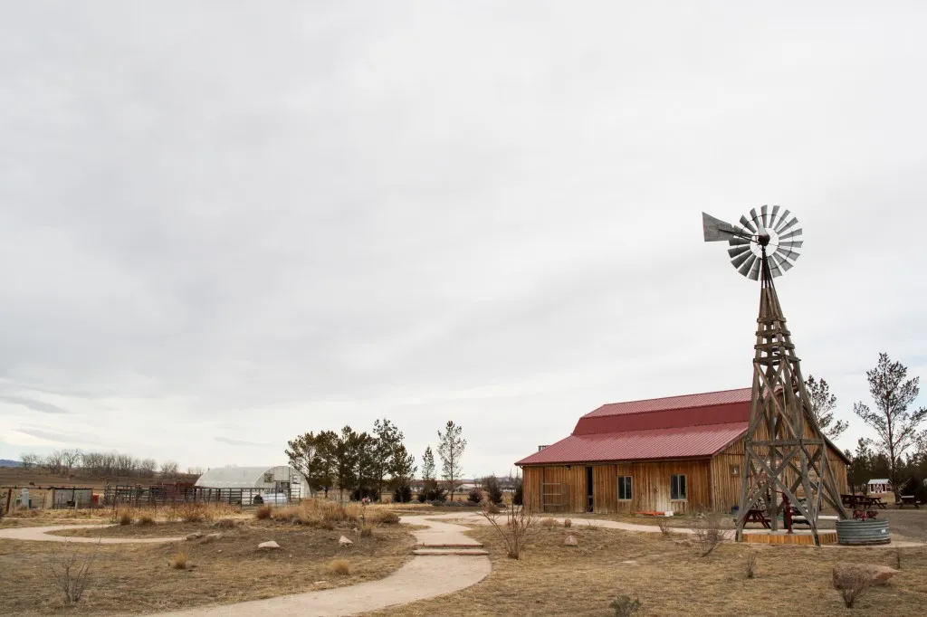 Seeing // Harvest Farm