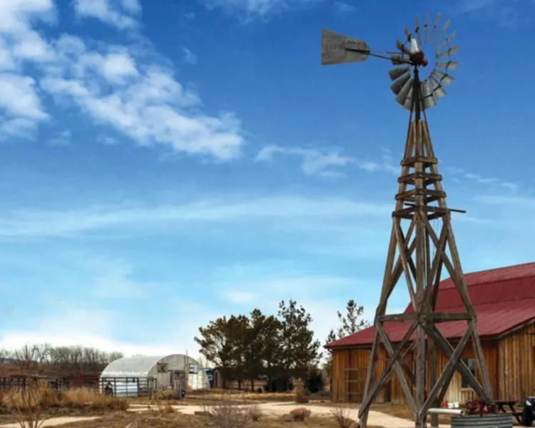 Guest Blogger // It wasn't just one changed life, it was a changed family