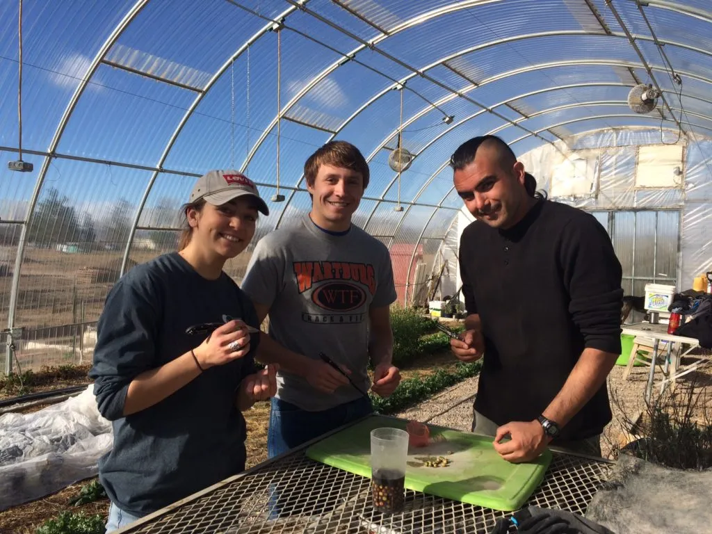 College Students Trade Beach Towels for Lasting Experiences at Harvest Farm