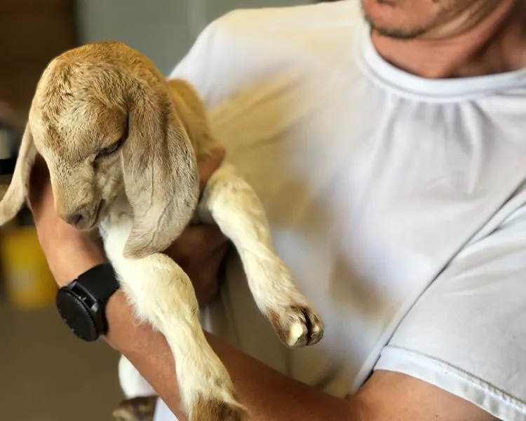 Spring is Happening at Harvest Farm