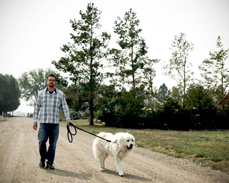 Harvest Farm: A Refuge for Recovery