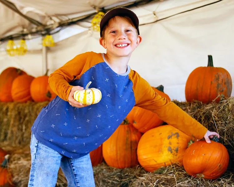 Important Update: 2021 Harvest Farm Fall Festival
