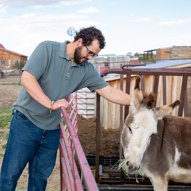 Program participant and donkey at Harvest Farm.