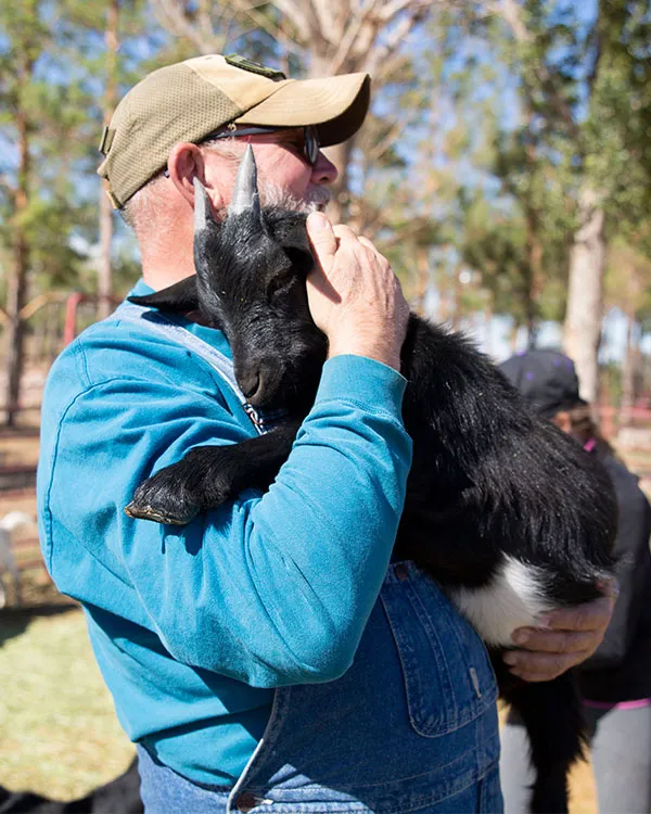 Goat from Harvest Farm