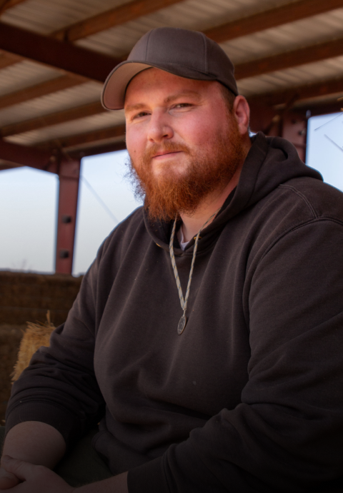 Mobile Background Image